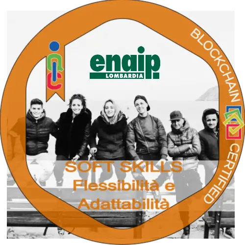 Badge pubblico 43076